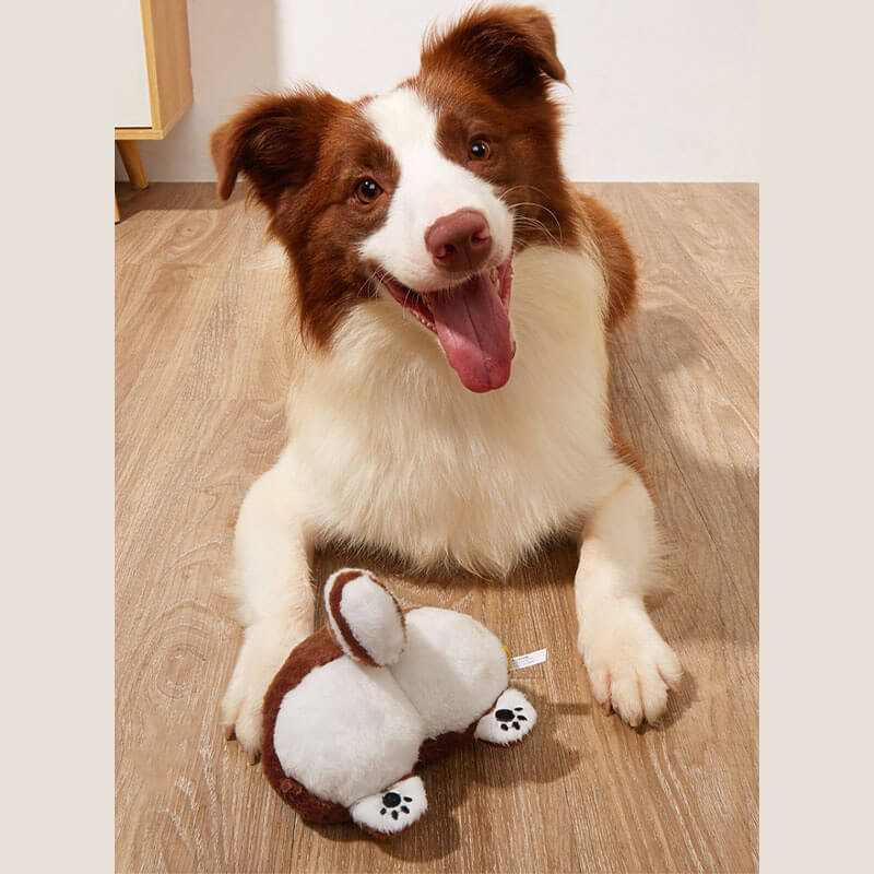 FunnyPlushSqueakyDogToy-Butt-_5