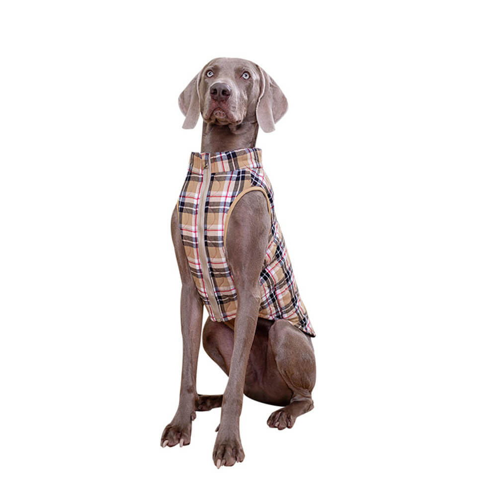 Iropaws British Style Plaid Dog Vest Padded Jacket with D-Ring 5