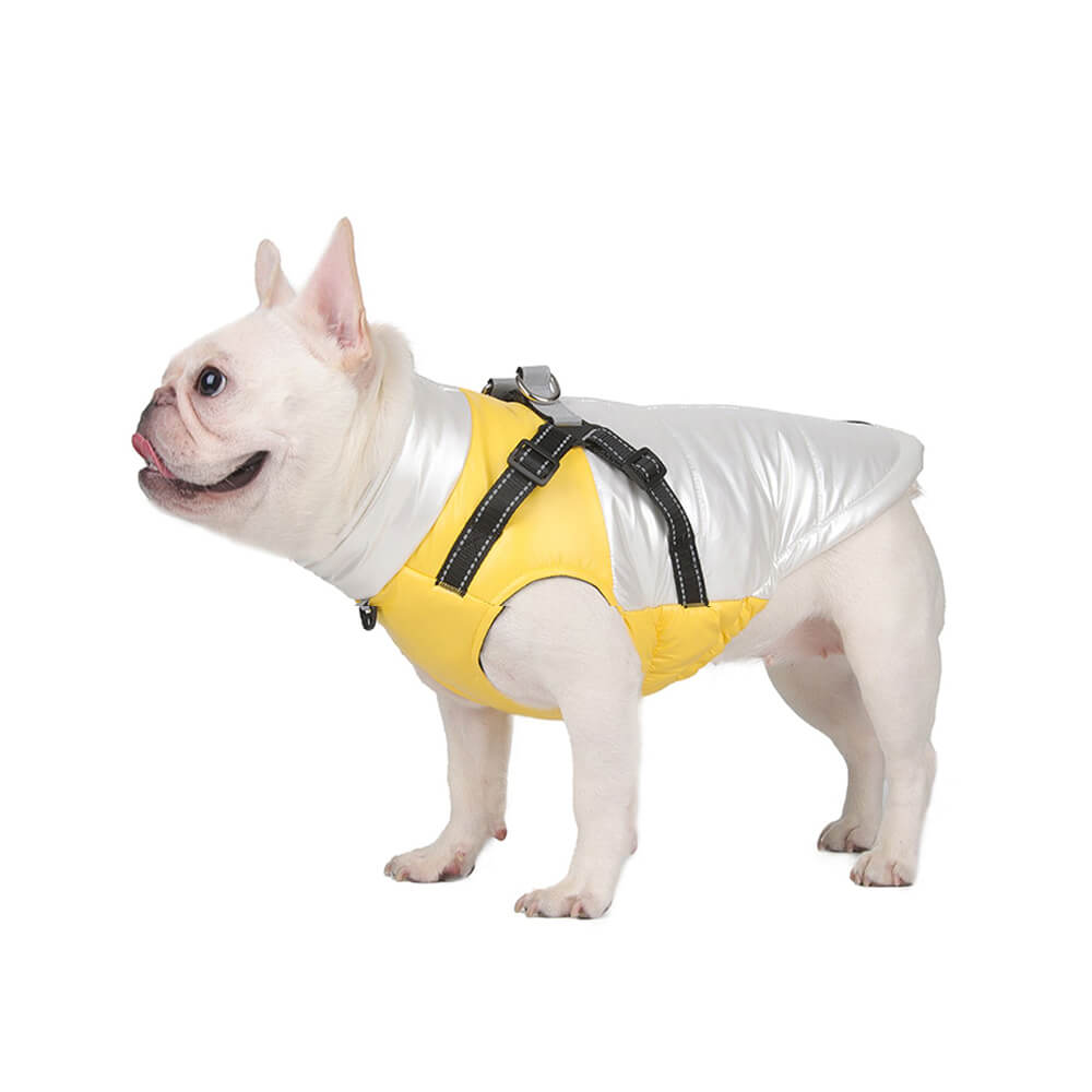 Iropaws Chic Reflective Waterproof Safety Adjustable Fit Warm Dog Jacket 9