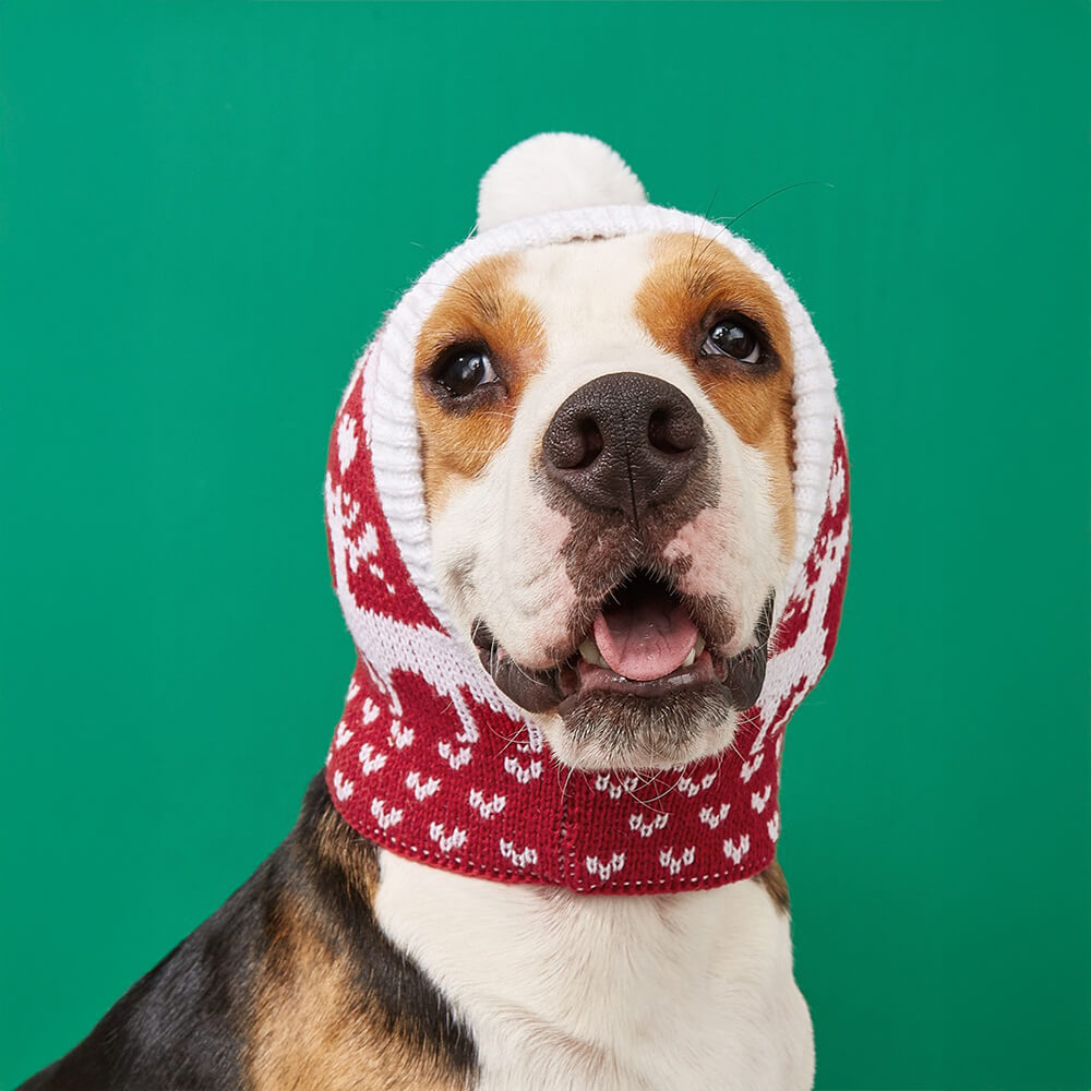 Iropaws Christmas Reindeer Snowflake Knitted Warm Dog Cat Hat 10