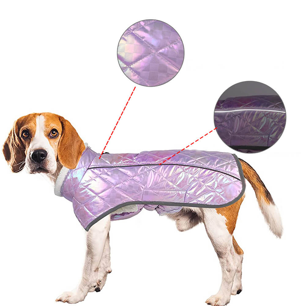 Iropaws Dazzling Colorful Waterproof Reflective Warm Dog Jacket 4