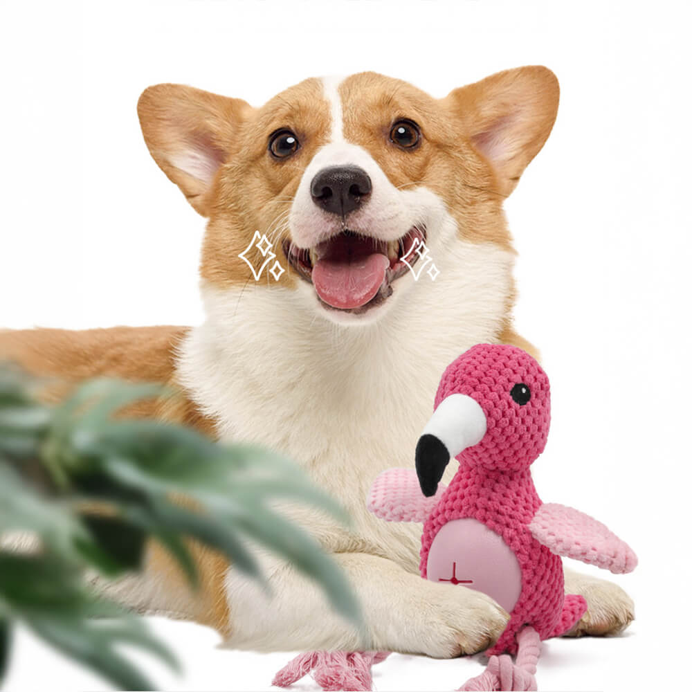 Iropaws Flamingo Parrot Interactive Durable Rope Chew Dog Toy 2