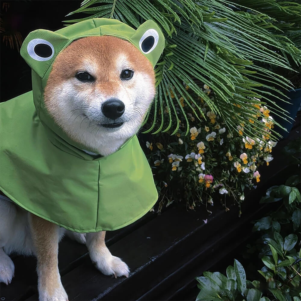 Iropaws Frog-Inspired Waterproof Lightweight Dog Hooded Poncho Raincoat 6