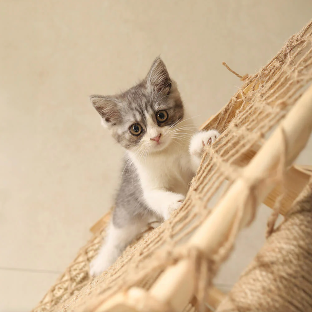 Iropaws Modern Wooden Cat Tree Funny Scratching Post with Hammock Climbing Net 3