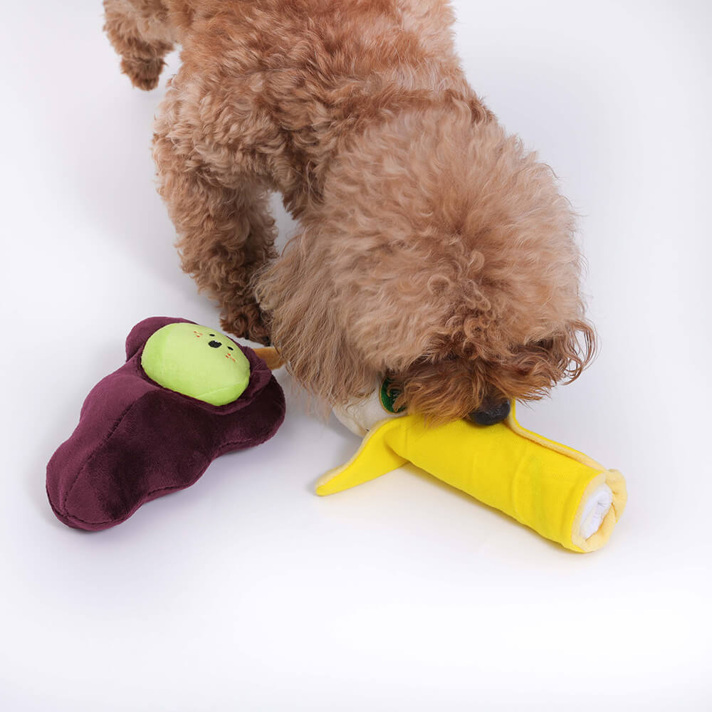 Iropaws_PlushSqueakyDogToyFruit2