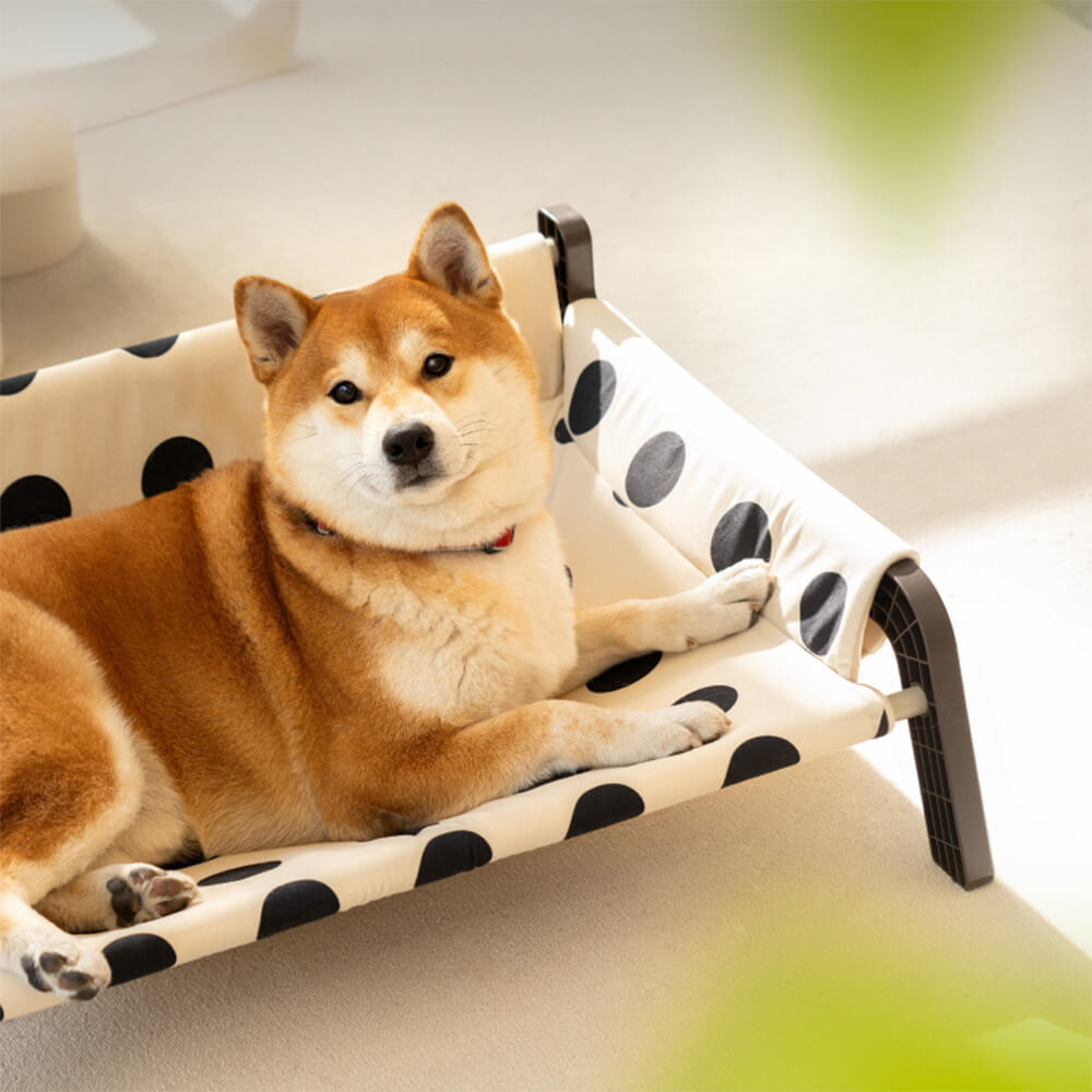 Iropaws Polka Dot Frosted Suede Summer Cool Dog Bed 2