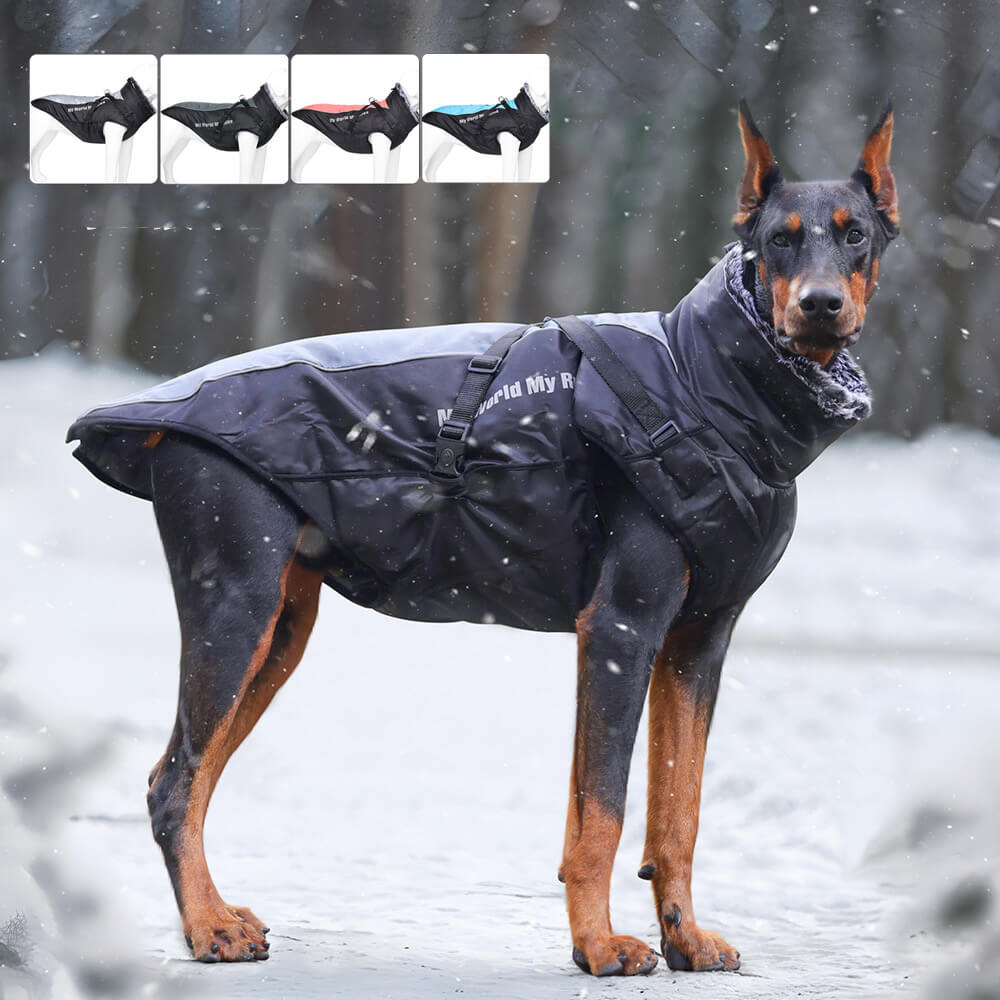 Iropaws Reflective Windproof Winter Dog Coat - Ultimate Warmth and Safety for Large Dogs 1