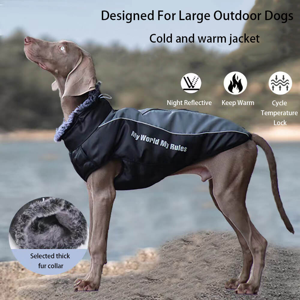 Iropaws Reflective Windproof Winter Dog Coat - Ultimate Warmth and Safety for Large Dogs 2