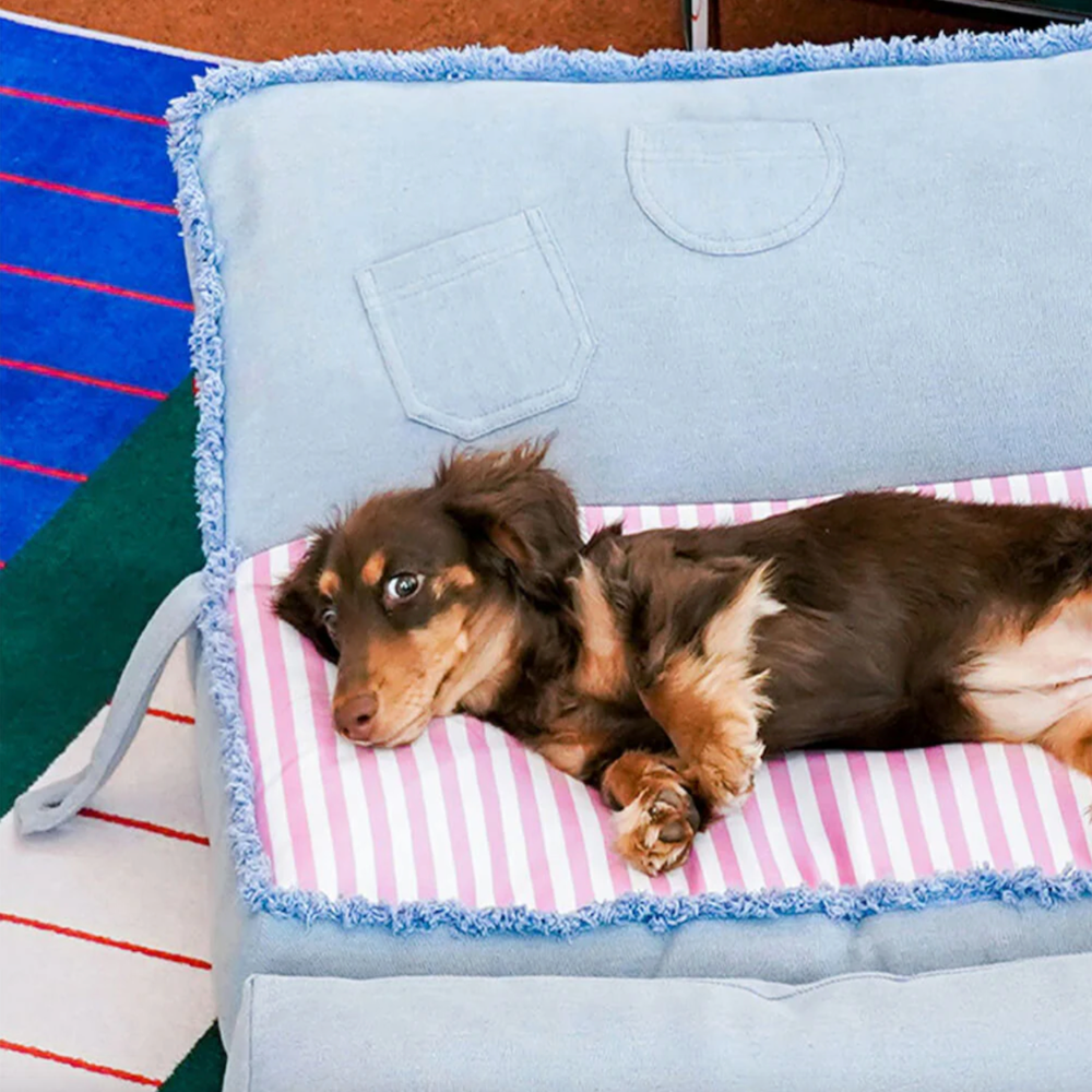 Iropaws Spacious Foldable Denim Multi-Functional Dog & Cat Sofa Bed 9