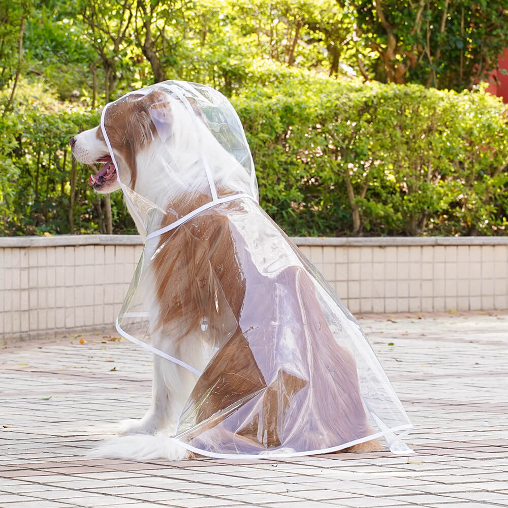 Iropaws Transparent EVA Waterproof Outdoor Dog Hooded Raincoat 10