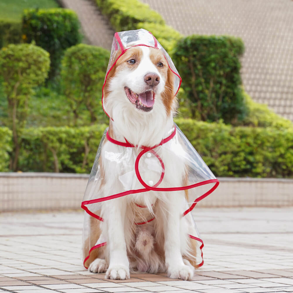 Iropaws Transparent EVA Waterproof Outdoor Dog Hooded Raincoat 3