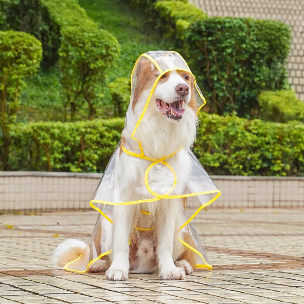 Iropaws Transparent EVA Waterproof Outdoor Dog Hooded Raincoat 8