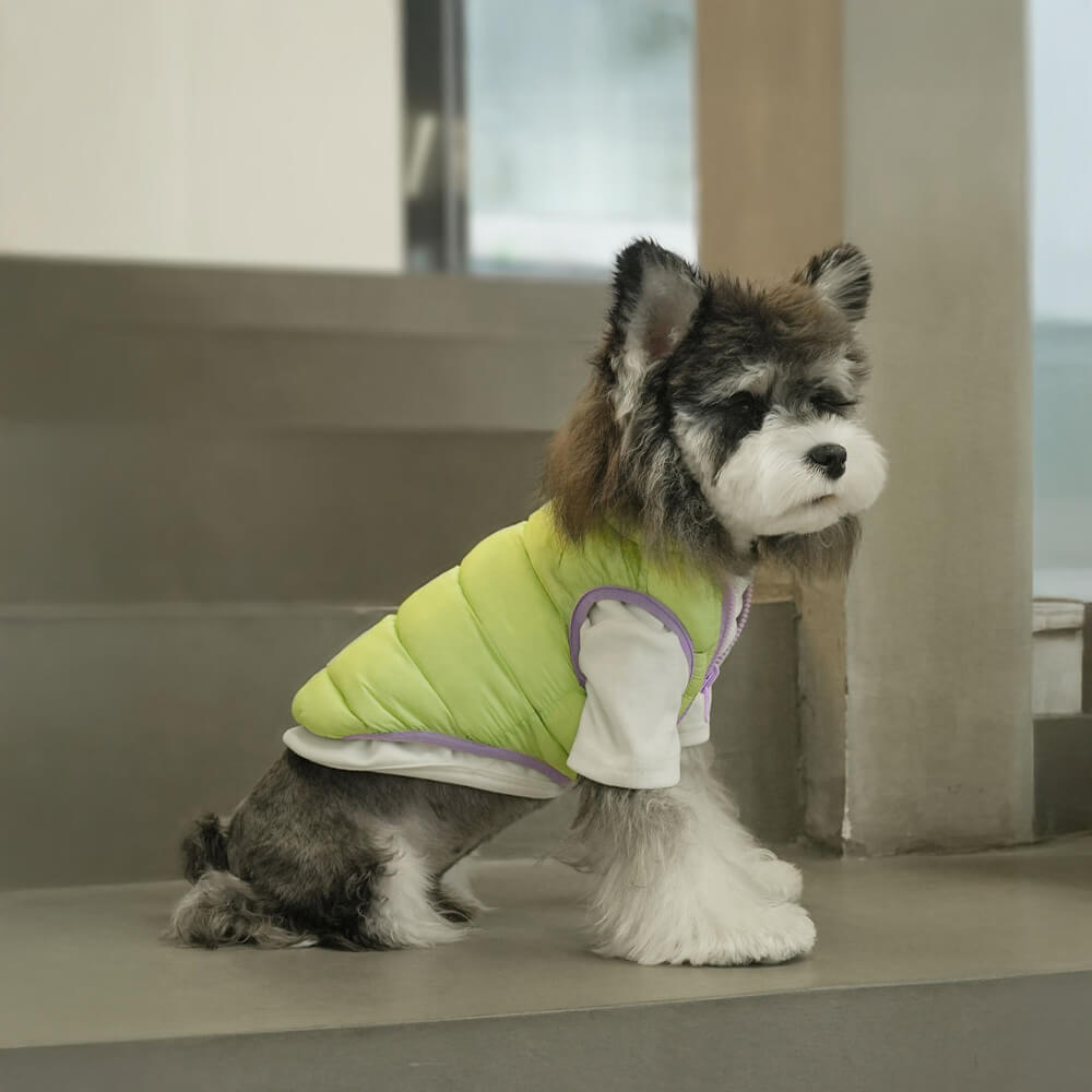 Iropaws Ultra-Stylish Warm Lightweight Double Sided Striped Dog Vest 5