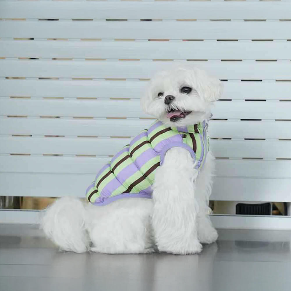 Iropaws Ultra-Stylish Warm Lightweight Double Sided Striped Dog Vest 8