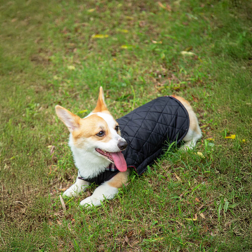 Iropaws Ultra-Warm Plaid Turtleneck Skin-Friendly Velcro Dog Jacket 6