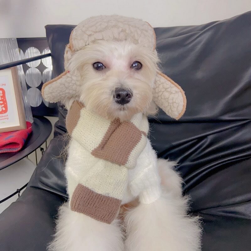 Iropaws Vintage-Style Knitted Warm Pet Scarf 2