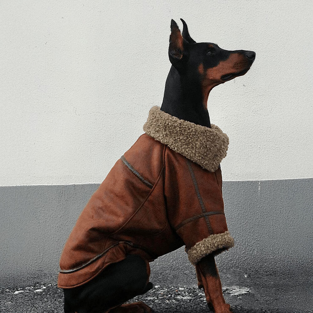 Iropaws Vintage Aviator Dog Jacket with Shearling Lining - Warm and Stylish 1