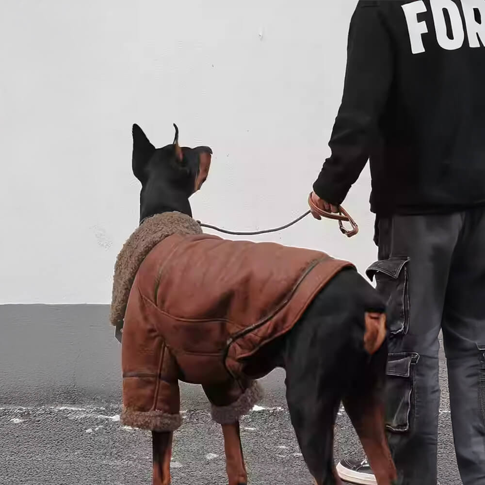 Iropaws Vintage Aviator Dog Jacket with Shearling Lining - Warm and Stylish 3