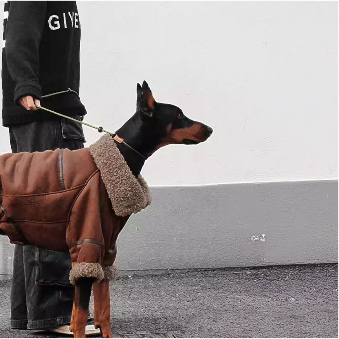 Iropaws Vintage Aviator Dog Jacket with Shearling Lining - Warm and Stylish 5