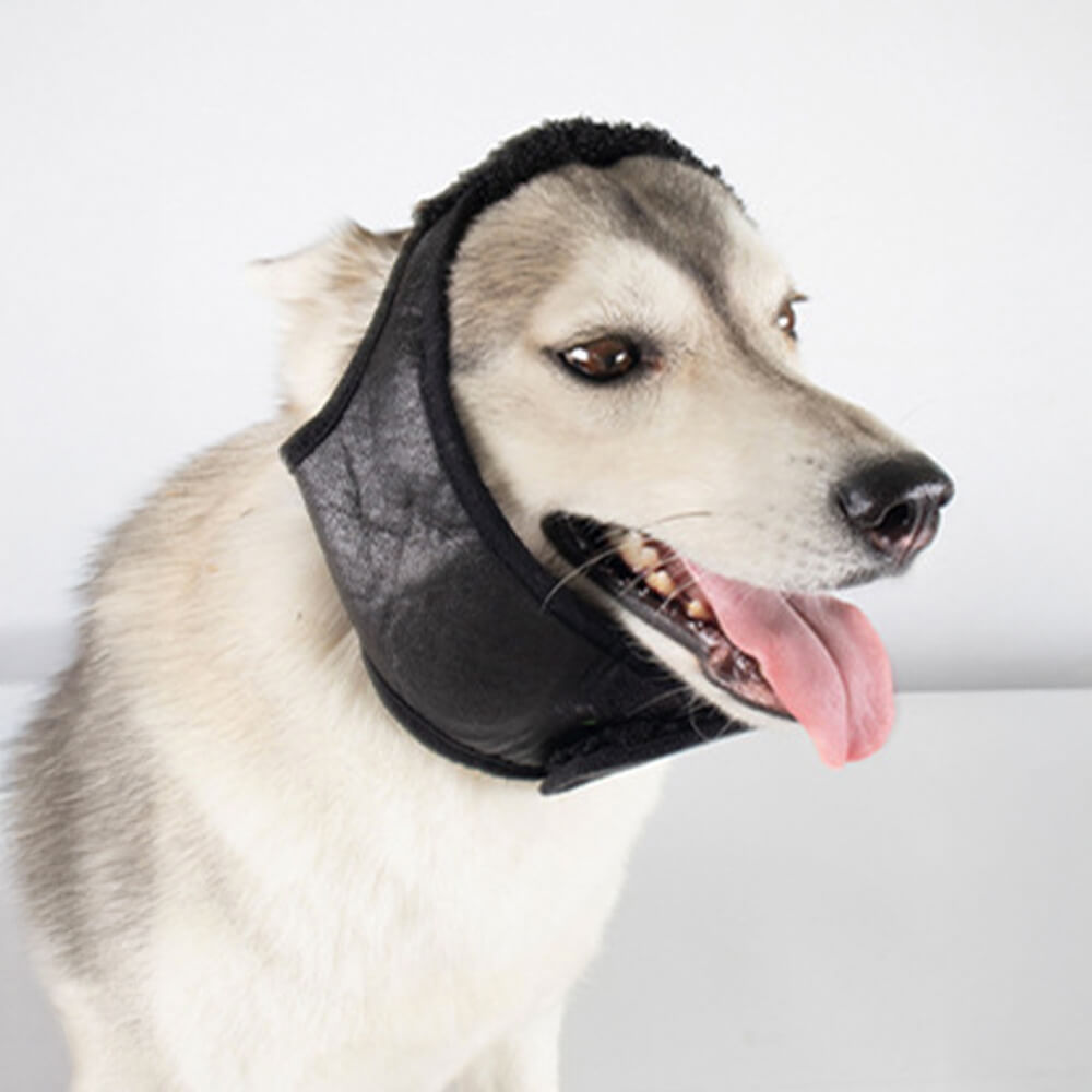 Iropaws Vintage Teddy Fleece Warm Cozy Dog & Cat Pilot Costume Cap 12