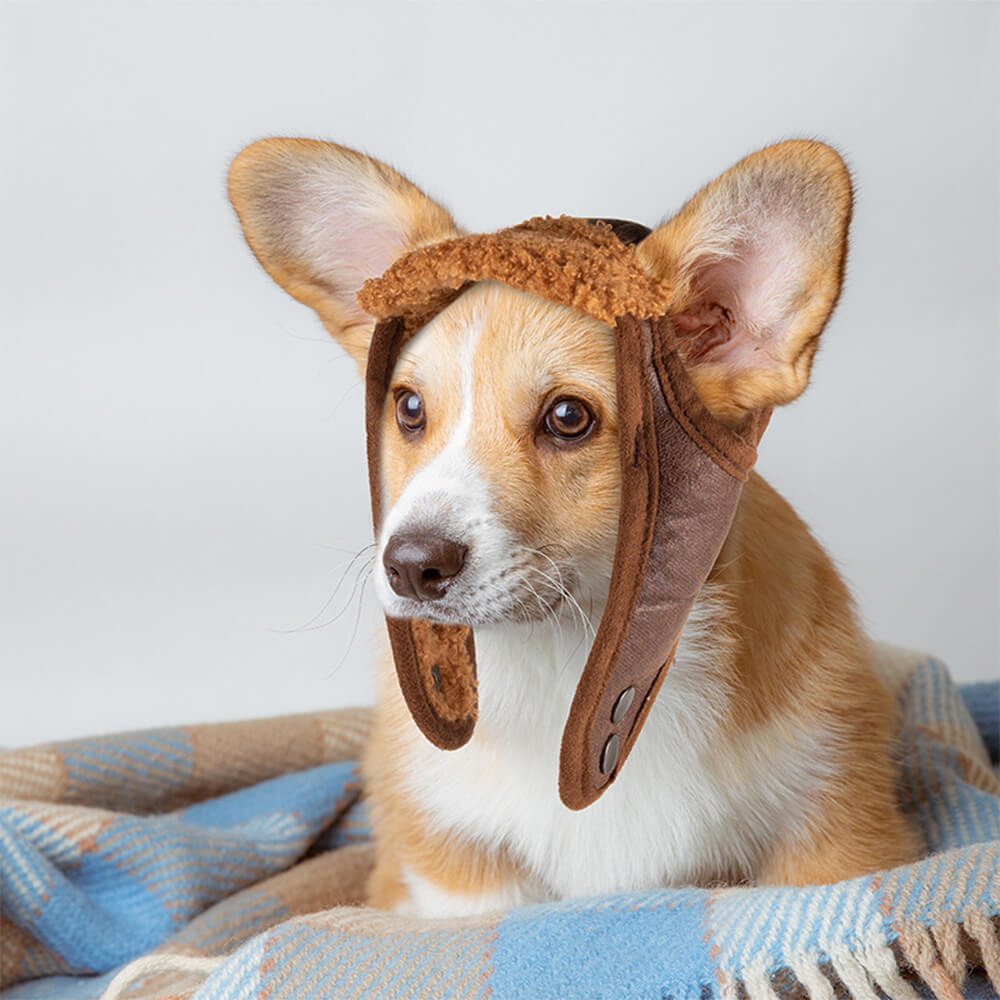Iropaws Vintage Teddy Fleece Warm Cozy Dog & Cat Pilot Costume Cap 15