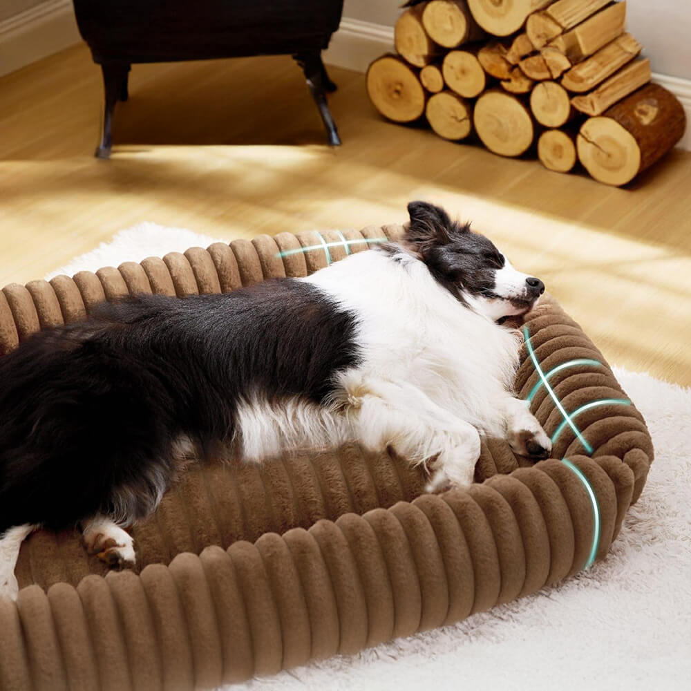 Iropaws Warmth Cozy Four-Sided Orthopedic Support Bolstered Dog & Cat Bed 2