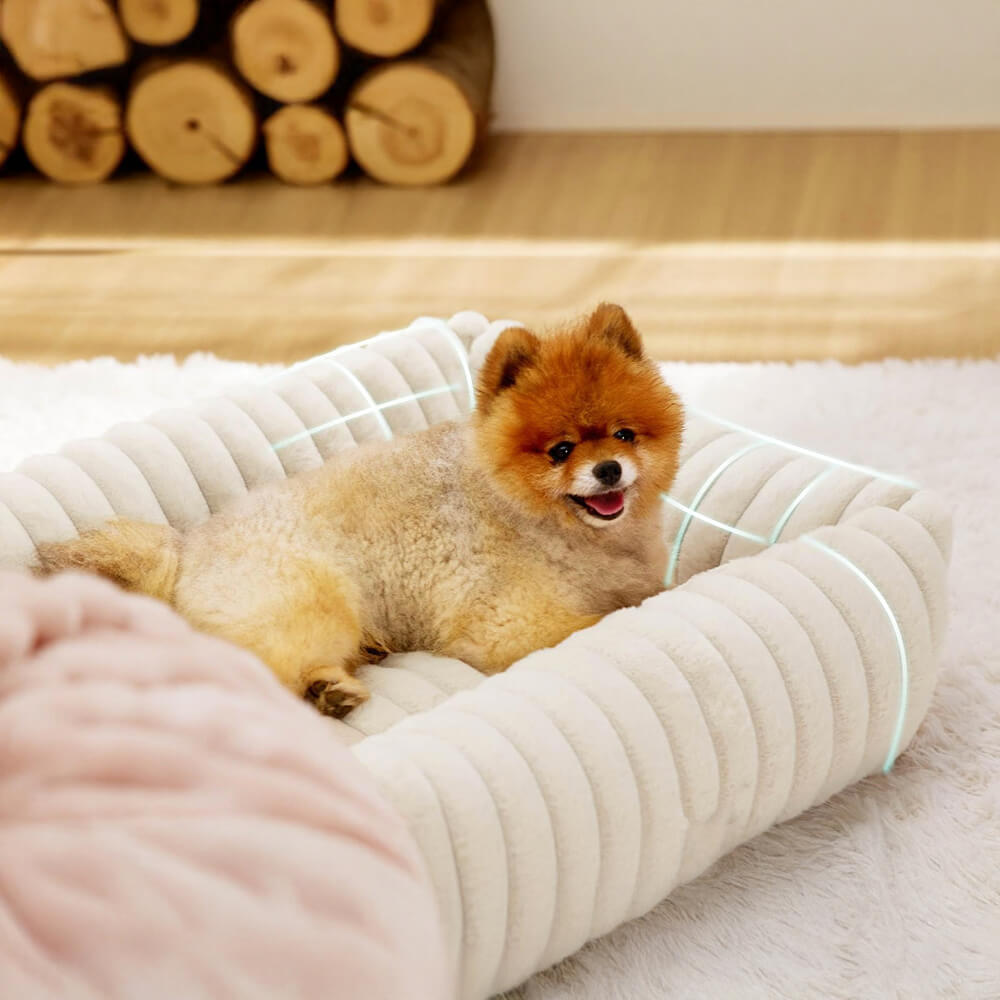 Iropaws Warmth Cozy Four-Sided Orthopedic Support Bolstered Dog & Cat Bed 5