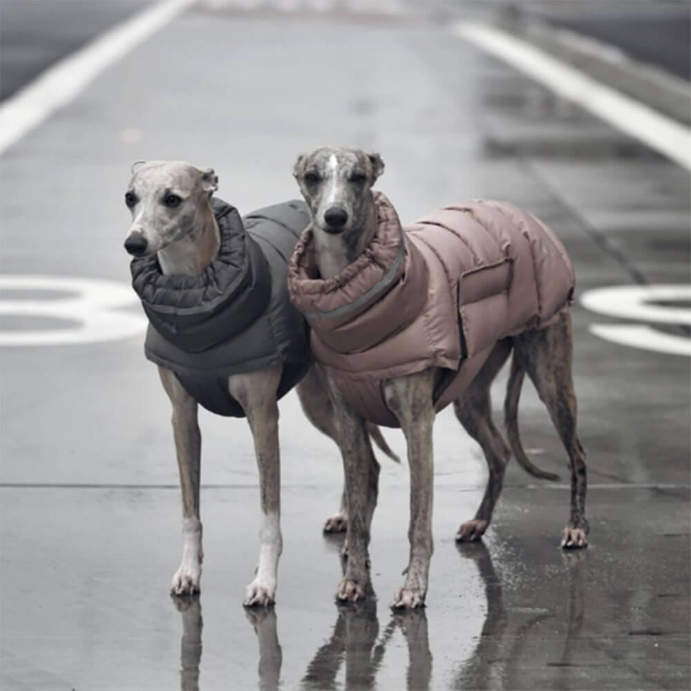 Iropaws Waterproof And Windproof Warm Vest - The Ultimate In Winter Warmth And Style 3