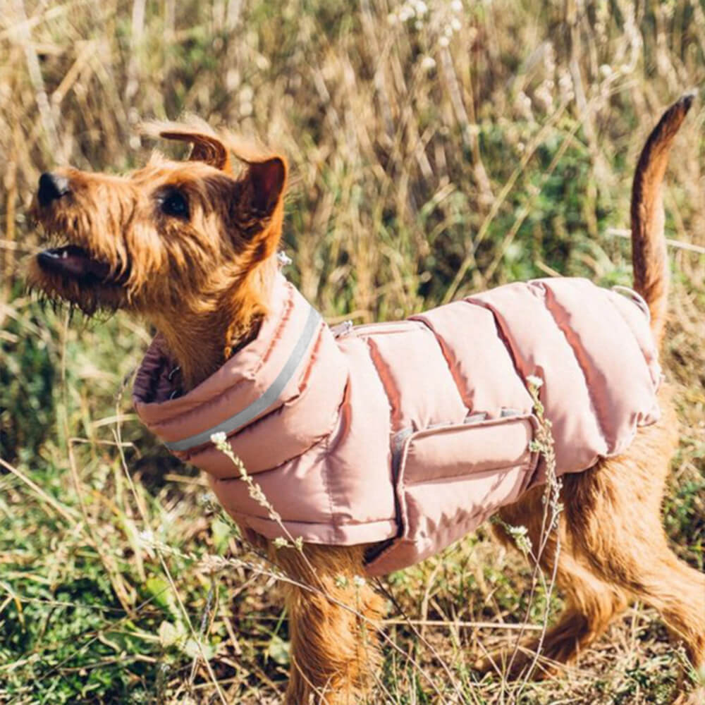Iropaws Waterproof And Windproof Warm Vest - The Ultimate In Winter Warmth And Style 4