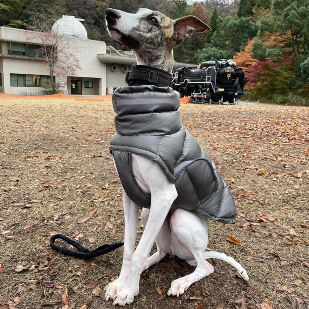 Iropaws Waterproof And Windproof Warm Vest - The Ultimate In Winter Warmth And Style 7