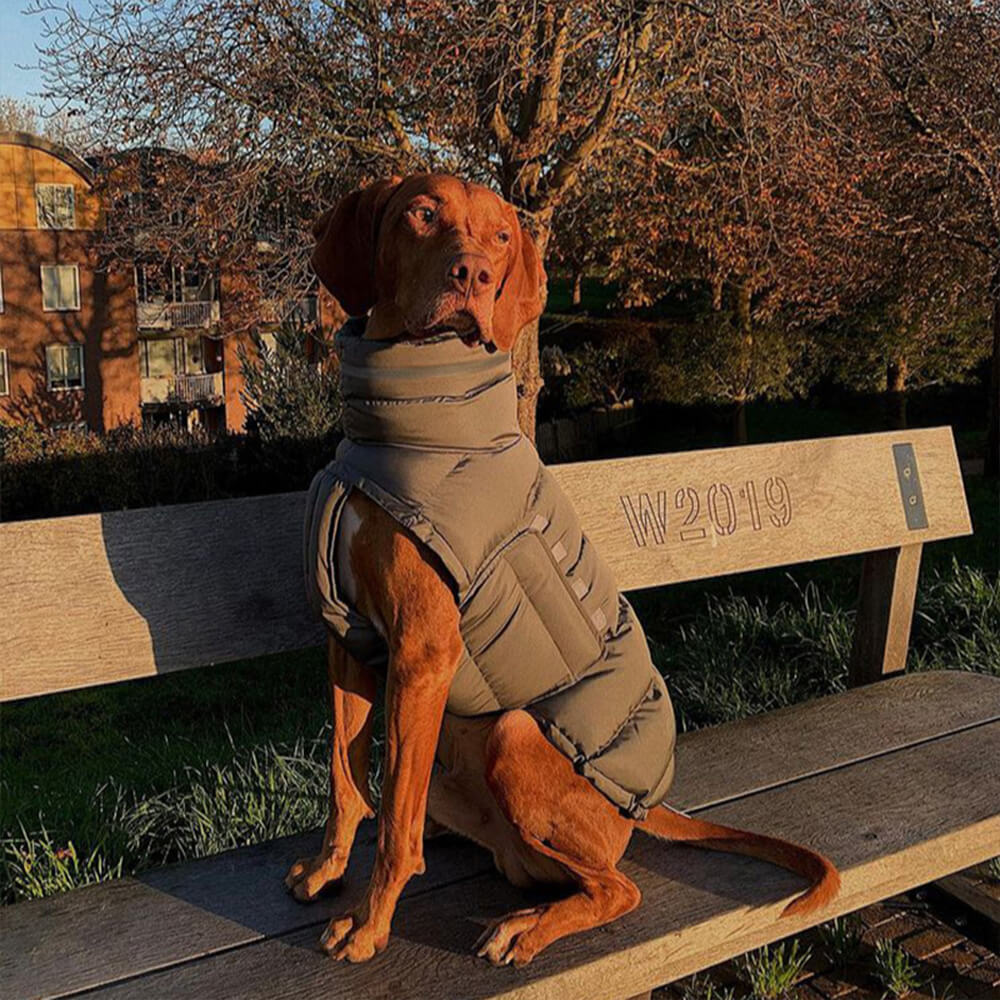 Iropaws Waterproof And Windproof Warm Vest - The Ultimate In Winter Warmth And Style 8