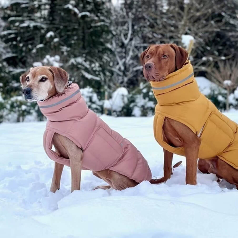 Iropaws Waterproof And Windproof Warm Vest - The Ultimate In Winter Warmth And Style 9