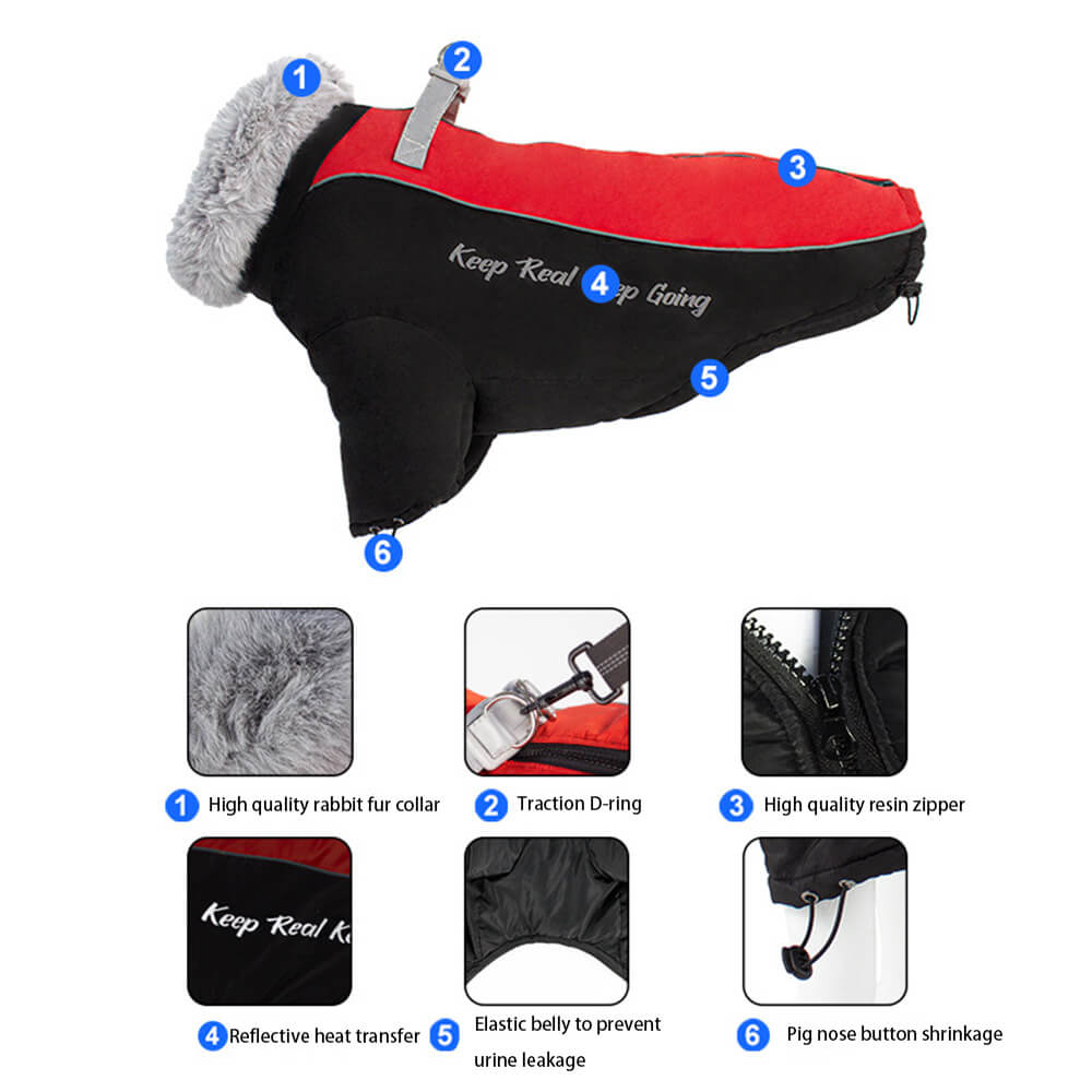 Iropaws Waterproof Winter Dog Coat with Fur Collar - Ultimate Warmth and Style 2