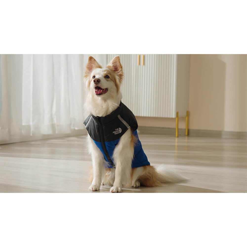Iropaws Waterproof and Windproof Dog Vest - Outdoor Adventure Jacket in 4 Colors 3
