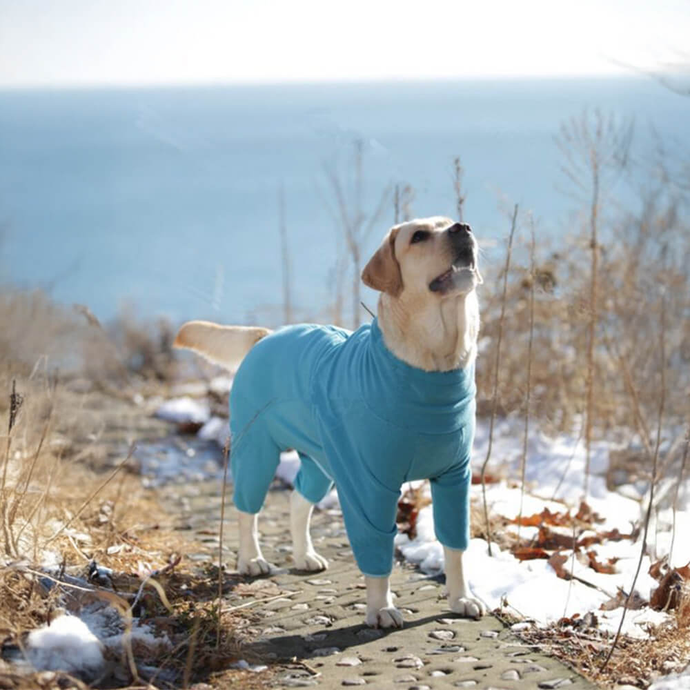 Iropaws Windproof Polar Fleece Full-Body Warmth Turtleneck Dog Jumpsuit 10
