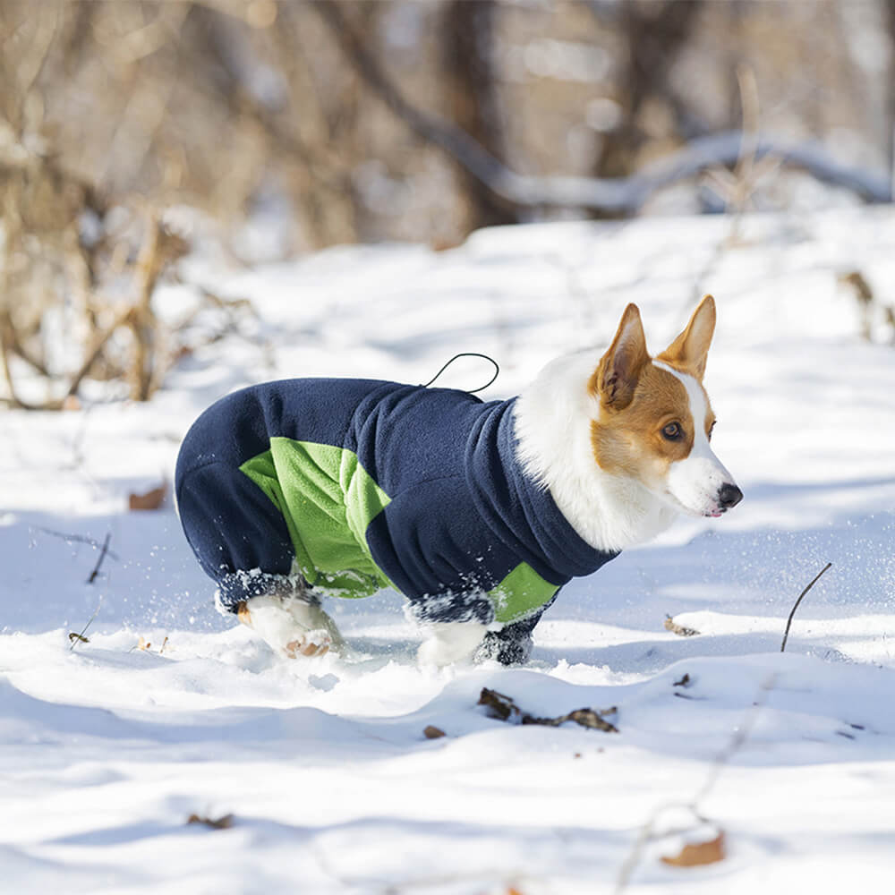 Iropaws Windproof Polar Fleece Full-Body Warmth Turtleneck Dog Jumpsuit 9