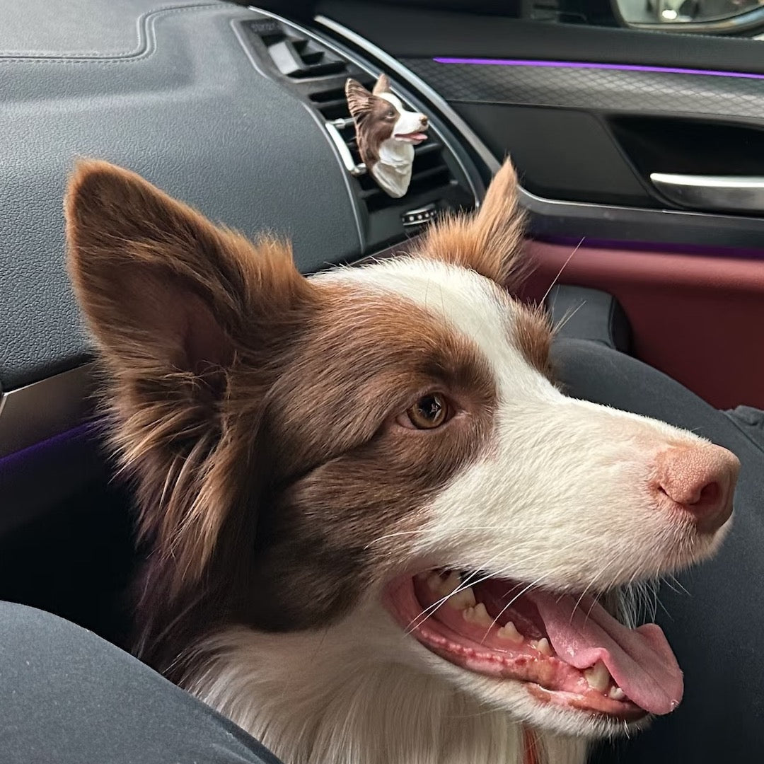 Custom 3D Pet Car Diffuser - Korean Scented Plaster Sculpture