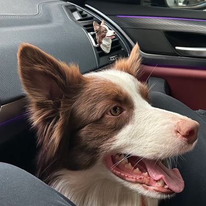 Custom 3D Pet Car Diffuser - Korean Scented Plaster Sculpture