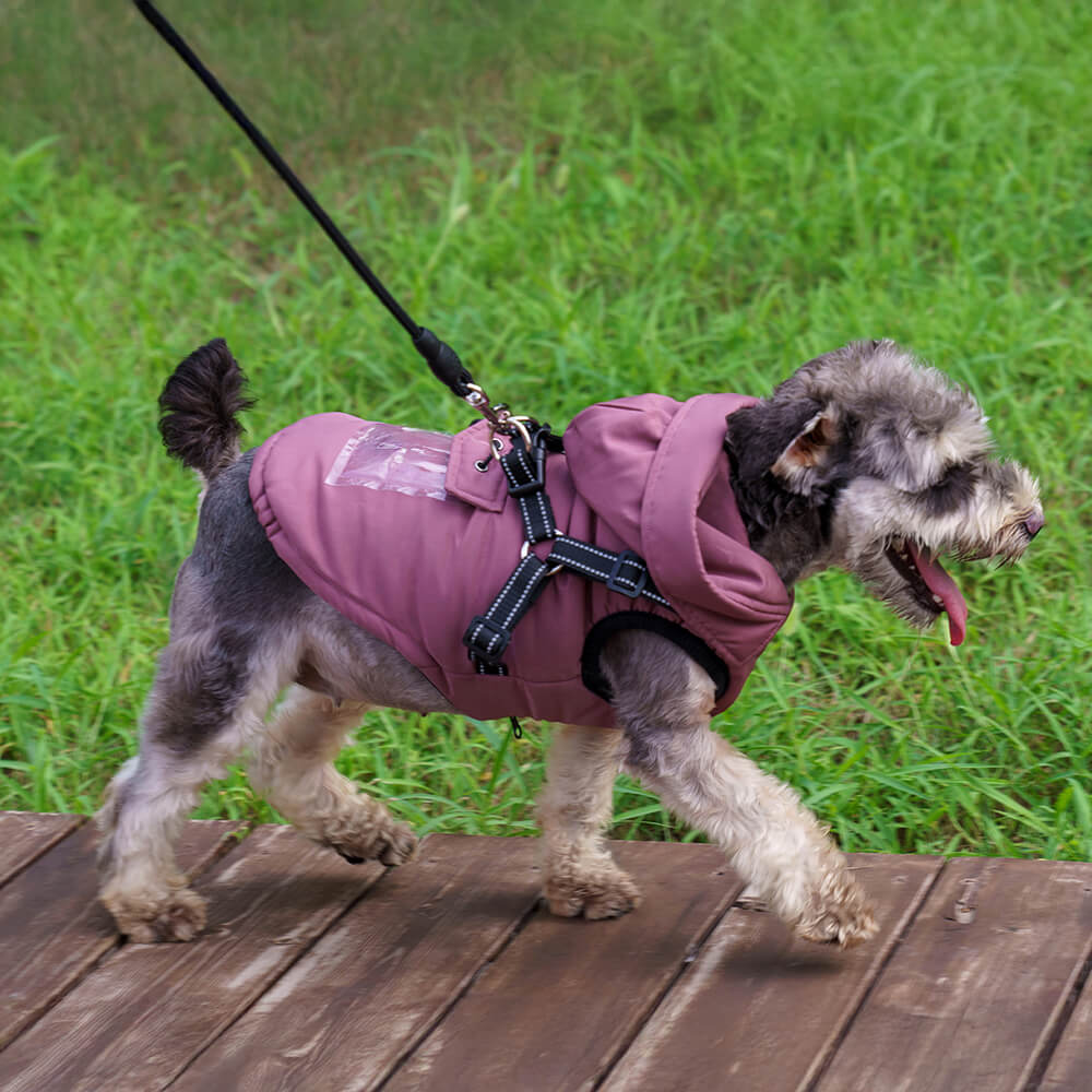Iropaws Adjustable Insulated Cozy Hooded Dog Harness Jacket 11