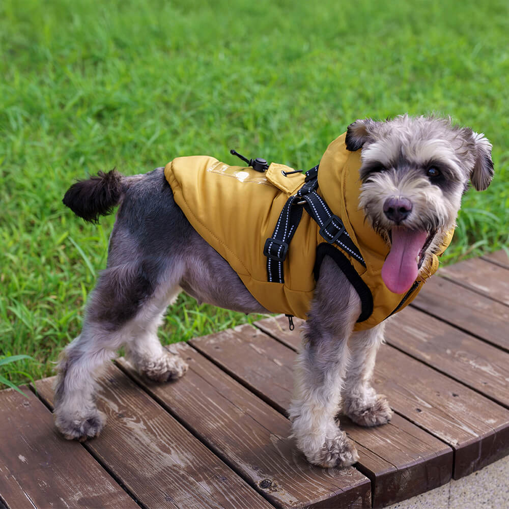 Iropaws Adjustable Insulated Cozy Hooded Dog Harness Jacket 8
