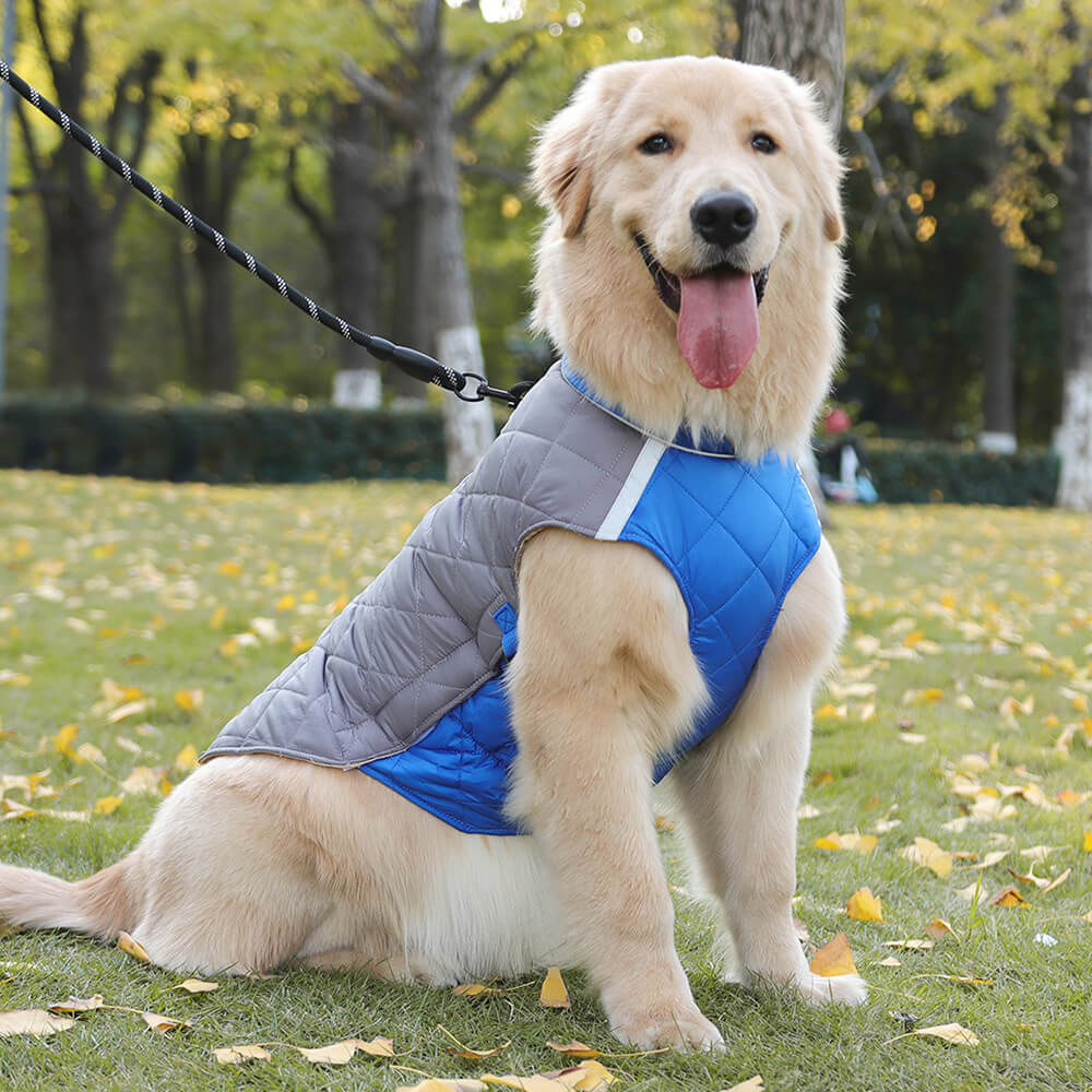 Iropaws Adjustable Quilted Dog Jacket - Warm and Safe for Winter Walks 5