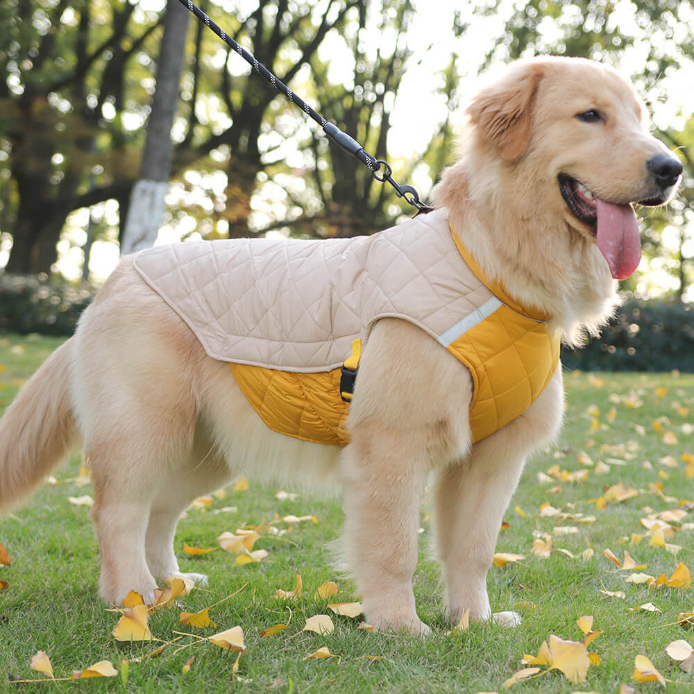 Iropaws Adjustable Quilted Dog Jacket - Warm and Safe for Winter Walks 6