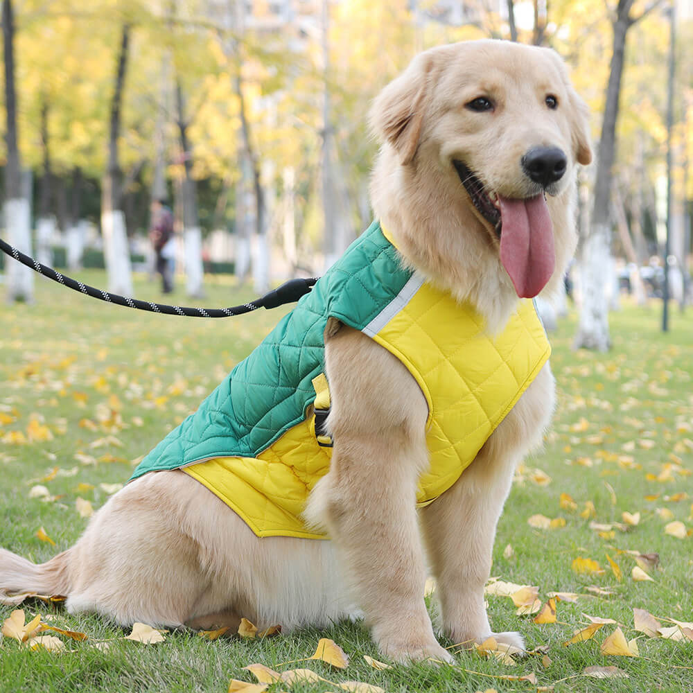 Iropaws Adjustable Quilted Dog Jacket - Warm and Safe for Winter Walks 7