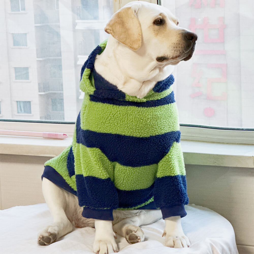 Iropaws Bold Color Stripe Warm Breathable Dog Hoodie 3