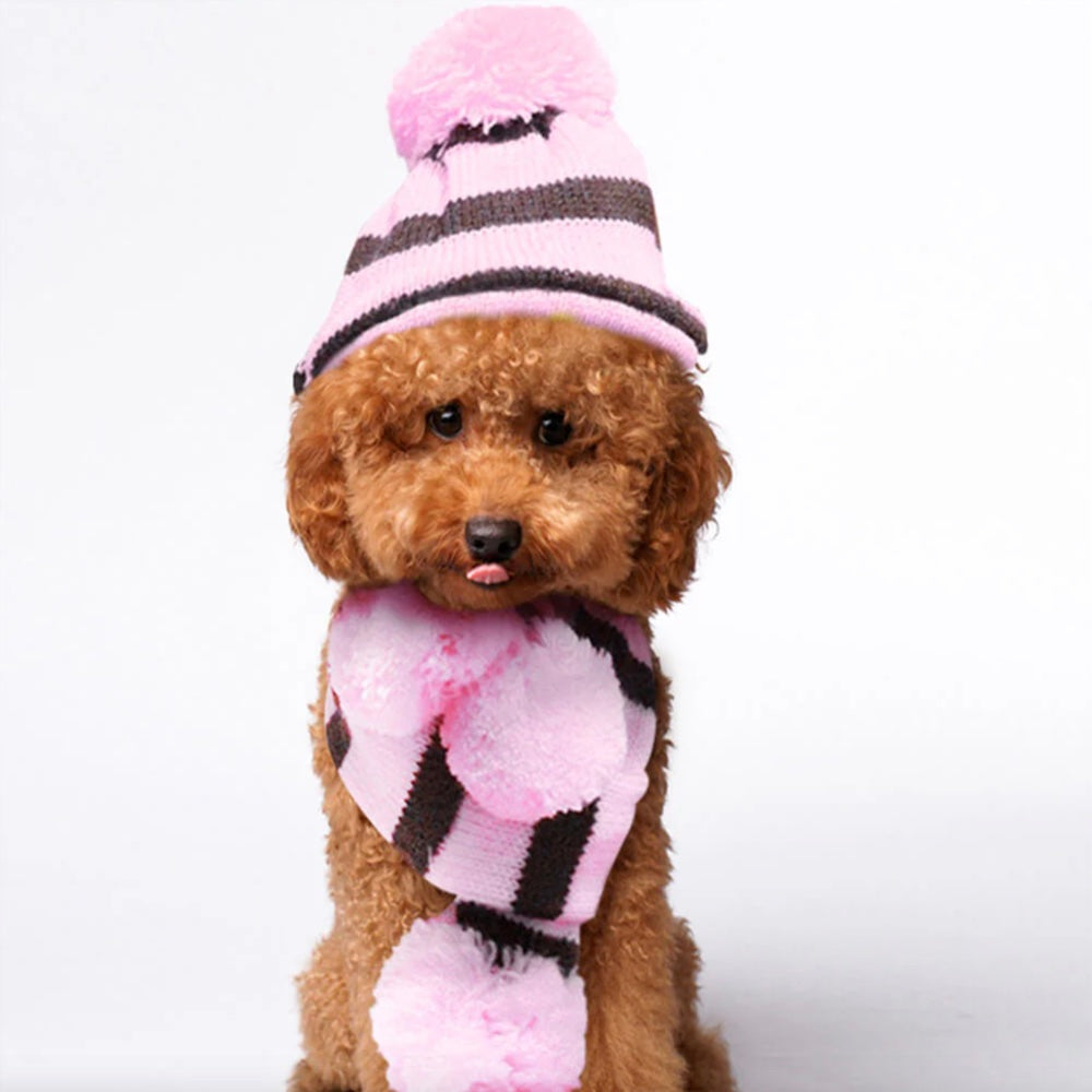 Iropaws Colorful Striped Knit Pom Pom Cozy Dog Hat Scarf & Socks Set 10