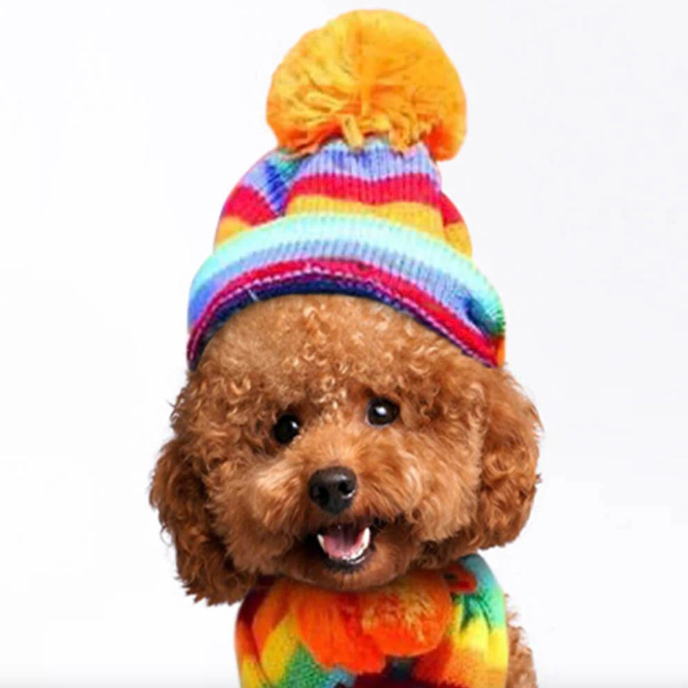 Iropaws Colorful Striped Knit Pom Pom Cozy Dog Hat Scarf & Socks Set 11