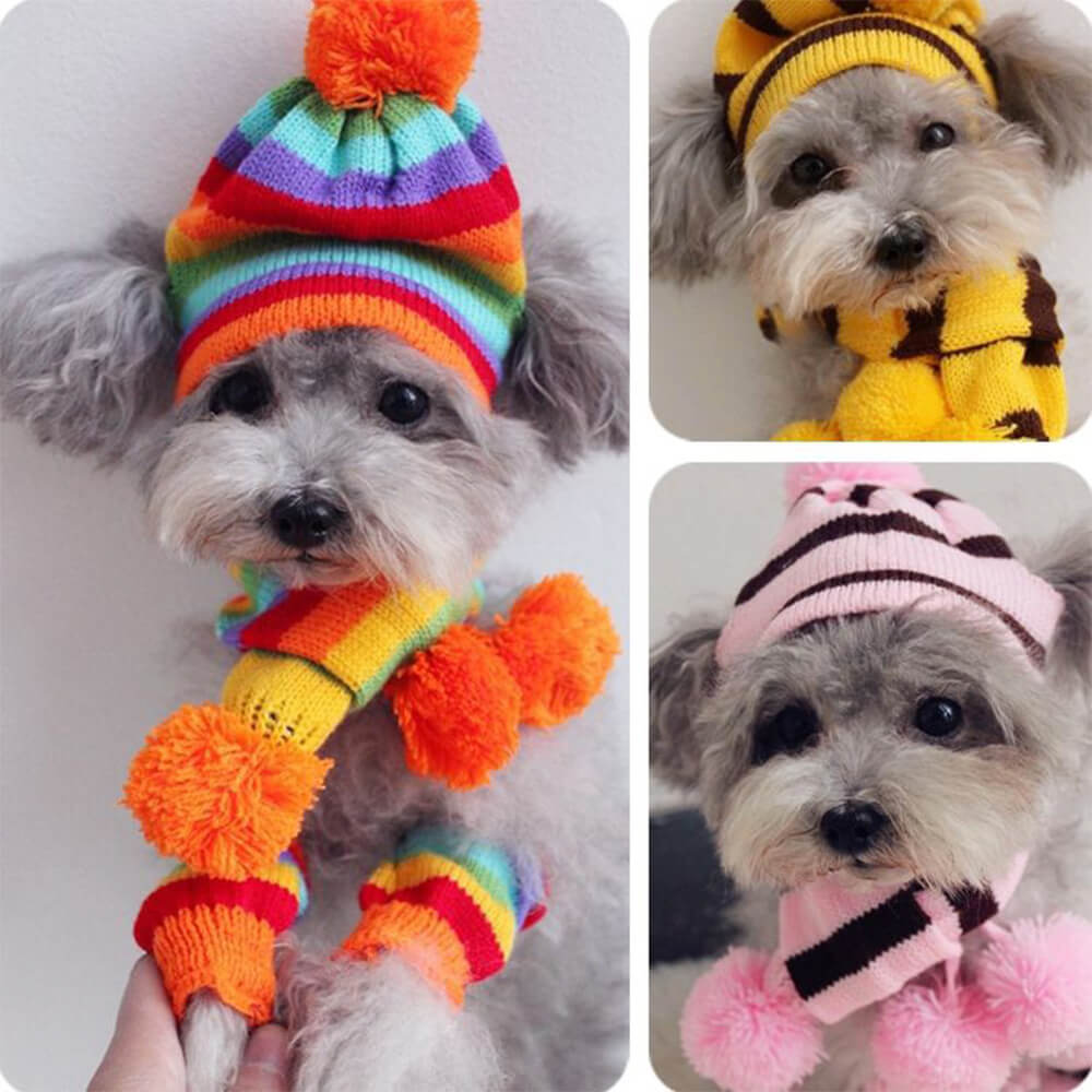 Iropaws Colorful Striped Knit Pom Pom Cozy Dog Hat Scarf & Socks Set 2