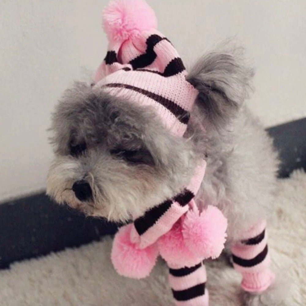 Iropaws Colorful Striped Knit Pom Pom Cozy Dog Hat Scarf & Socks Set 9