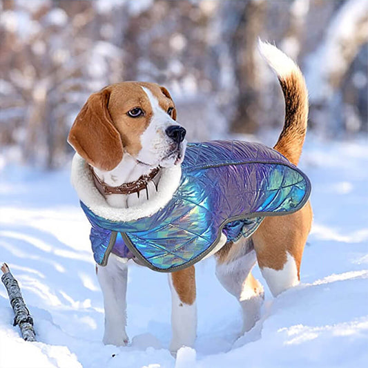 Iropaws Dazzling Colorful Waterproof Reflective Warm Dog Jacket 1