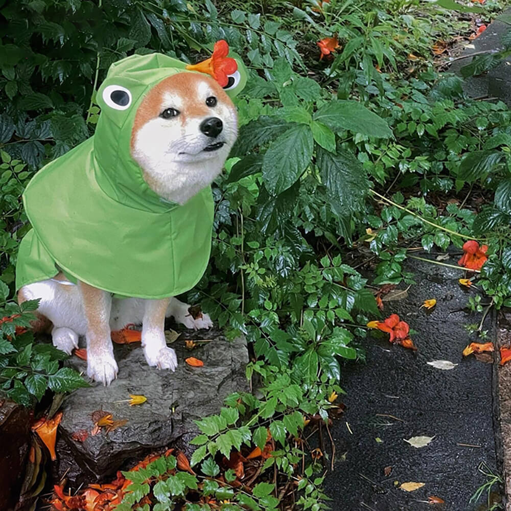 Iropaws Frog-Inspired Waterproof Lightweight Dog Hooded Poncho Raincoat 7